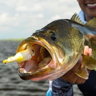 Affordable Lure [Hollow Duckling] SAVAGE GEAR 3D Fake Bait Realistic Thunder Frog Predatory Fish Spe