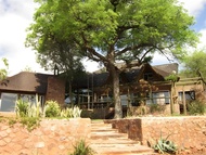 馬魯拉小屋賓客旅舍 (Marula Cottage Guest Lodge)