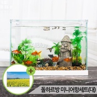 Dolhareubang Mini Fish Tank Set (Large) Glass Aquarium Set