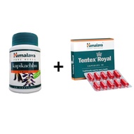 Himalaya Kapikachhu + Himalaya Tentex Royal