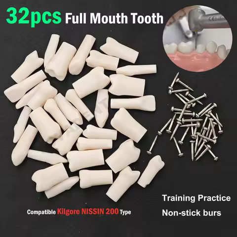10Pcs Replacement Tooth Particles Compatible NISSIN 200 Type Teeth Model For Dental Preparation Trai