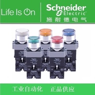 Schneider Electrical Button with Light XB2-BW31/33/34/35/36 B1C/M1C Self-Reset