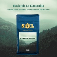 PANAMA GEISHA ( Specialty Coffee Beans ) 100g/pkt