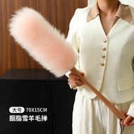 Dust Remover for Car and Home Windows Dust Cleaning Duster