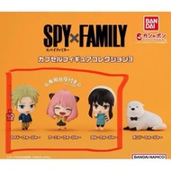 Spy family 扭蛋