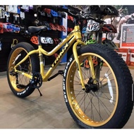 Brand new trinx m100 fat mountain bike