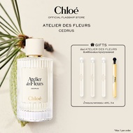 น้ำหอมผู้หญิง Chloé Atelier Des Fleurs Cedrus Eau De Parfum For Women | Symbol of Loyalty | Woody Sp