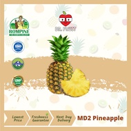 【Rompine】 MD2 Pineapple (1.4kg-1.6kg) 黄梨 | Dr.fruit /Nanas