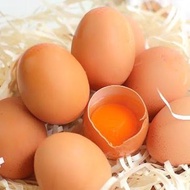 Fresh Omega 3 Domestic Chicken Eggs (30 Eggs)/Tray Small size HT