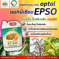 ปุ๋ยน้ำ ออปตอล (แกลลอน 5 ลิตร) ปุ๋ยทุเรียน อะมิโน คีเลต ธาตุรอง ธาตุเสริม 20-4-4   4-20-20  10-5-20 