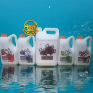 Ta Chung Ho Fruit Syrups - Ta Chung Ho Lychee Syrup TCH Blueberry TCH Strawberry TCH Winter Melon TC