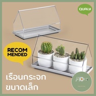 ลดราคา Qualy เรือนกระจกสำหรับปลูกต้นไม้ขนาดเล็ก (ไม่มีกระถางด้านใน)- Micro Greenhouse - Plant Tray +