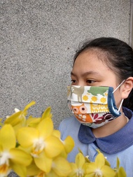 立體口罩更換套 成人 適用於醫療口罩與一般拋棄式口罩  現貨