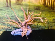 天然杜鵑根 紫柚木 沉木 魚缸擺件 造景設計 岩石景觀 南美缸 水草缸