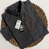 Kemeja Polos Pria Lengan Panjang warna Softblue Katun Premium Size M-XXXL