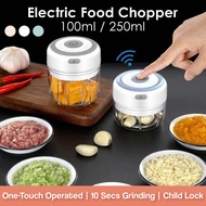 [SG INSTOCKS] Electric Food Chopper / USB Garlic Chopper / Kitchen Blender Mixer / Vegetable Meat Ch