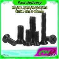 Black 304 Cross Countersunk Head Wire M2/M2.5/M3/M4/M5/M6 [SSG]