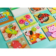 Cognitive Wooden Puzzle