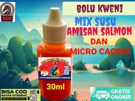 Formula Essen Bolu Kweni mix Micro Cacing target indukan utk Lomba harian/Galapung.. Amis Wangi Nyen