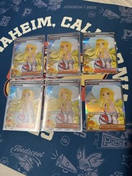 莉莉艾的決意sar
