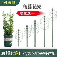 HY-D Crab Cactus Bracket Clematis Climbing Vine Flower Stand Chinese Rose Plant Support Rod Living Room Fixed Scindapsus
