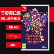 N184 Switch NS遊戲節奏海拉魯凱登蕬勇闖海拉魯地牢塞爾達中文