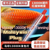 Mayin 13000k tanning light for arowana - 5feet