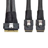 chenyang CY SFF-8654 8i 74Pin PCI-E Ultraport Slimline SAS Slim 4.0 to Dual SFF-8087 Mini SAS Cable 