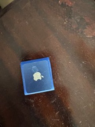 Apple iPod Shuffle 4th Generation (2GB)