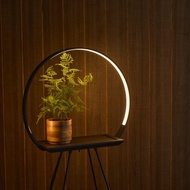 camino X MASSIMO Halo Lamp 植生圓柔燈桌 植物燈 擺飾 LED 燈