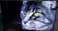 Samsung 75" 75吋 LH75DMEPLGC Full HD SMART Signage 1080p Direct-Lit LED Display 專業 顯示屏