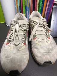 Nike Pegasus 40