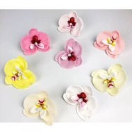Phalaenopsis Orchids SoapFlower 香皂花 蝴蝶兰 Bunga Sabun