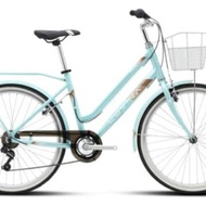 Polygon lovina city bike CTB bike Basket