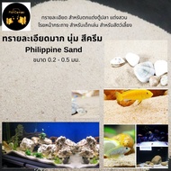 Coral Sand Very Fine Soft Cream Philippine/Aquarium Sea Cabinet