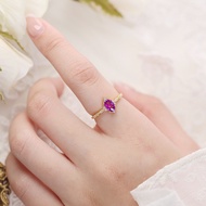 Jewelry Lover - Ring-113 - 925 Silver Ring with 18K Gold Plating - Elfi - Korean Style