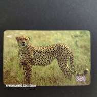 [ PHONE CARD ] PUBLIC PHONE VARIETY USED OLD PHONECARD *CHEETAH* 1990 - 2005