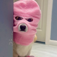 Creative Pet Hat