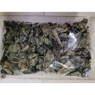 Strobilanthes Cripus/Black face general/黑面将军