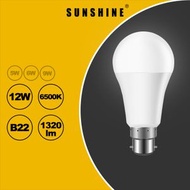 LED燈膽 12W / B22釘頭 / 白光6500K LED燈泡 | LED球膽 | LED球泡 (LGT-12B22D)