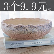 Ruiyan Succulent Flower Pot Large Diameter Simple Ceramic Large Household Succulent Stoneware Special Offer Clearance Fr