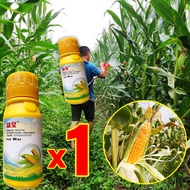 🌽ยาฉีดหญ้าข้าวโพดเห็นผลทันที🌽ยาฆ่าหญ้าไร่ข้าวโพด  นาข้าวโพด 100 ปีไม่มีวัชพืช ยาฆ่าหญ้าข้าวโพดซัลฟูรอน4%+อาทราซีน20% ฆ่าหญ้าข้าวโพดไม่ทำลา ข้าวโพด ยาฆ่าหญ้าในข้าวโพด ยาฆ่าหญ้า อัตรากำจัดวัชพืช100%