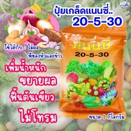 ยกลัง20 ถุง ปุ๋ยเกร็ดแนนซี่ สูตร 20-5-30 (ลมเบ่ง ) เร่งดอกสร้างเนื้อเสริมการเจริญเติบโตและความสมบูรณ