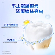 Lysozyme Bad Breath Removal Toothpaste Whitening Anti-Cavity Gum Protection Smoke Stain Removal Toot