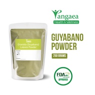 Pure and Organic Graviola (Guyabano) Leaves Powder (250g, Re-sealable pouch)