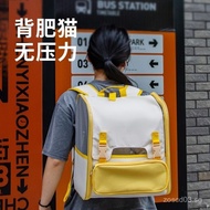 Activity Price  Pet Portable Cat Bag Outdoor Foldable Backpack Cat Handheld Breathable Cat Outdoor B