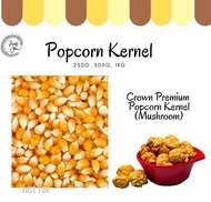 Crown Premium Pop Corn Kernel (Mushroom) 爆米花颗粒