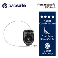 Pacsafe Retractasafe 250 (Smoke)
