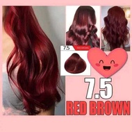 RED BROWN Bremod Hair Color with 100ml Oxidizer
