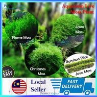 Moss (Bag) Christmas/Flame/ Java Moss Bamboo Stick Aquarium Water Plant Low Level Aquascape